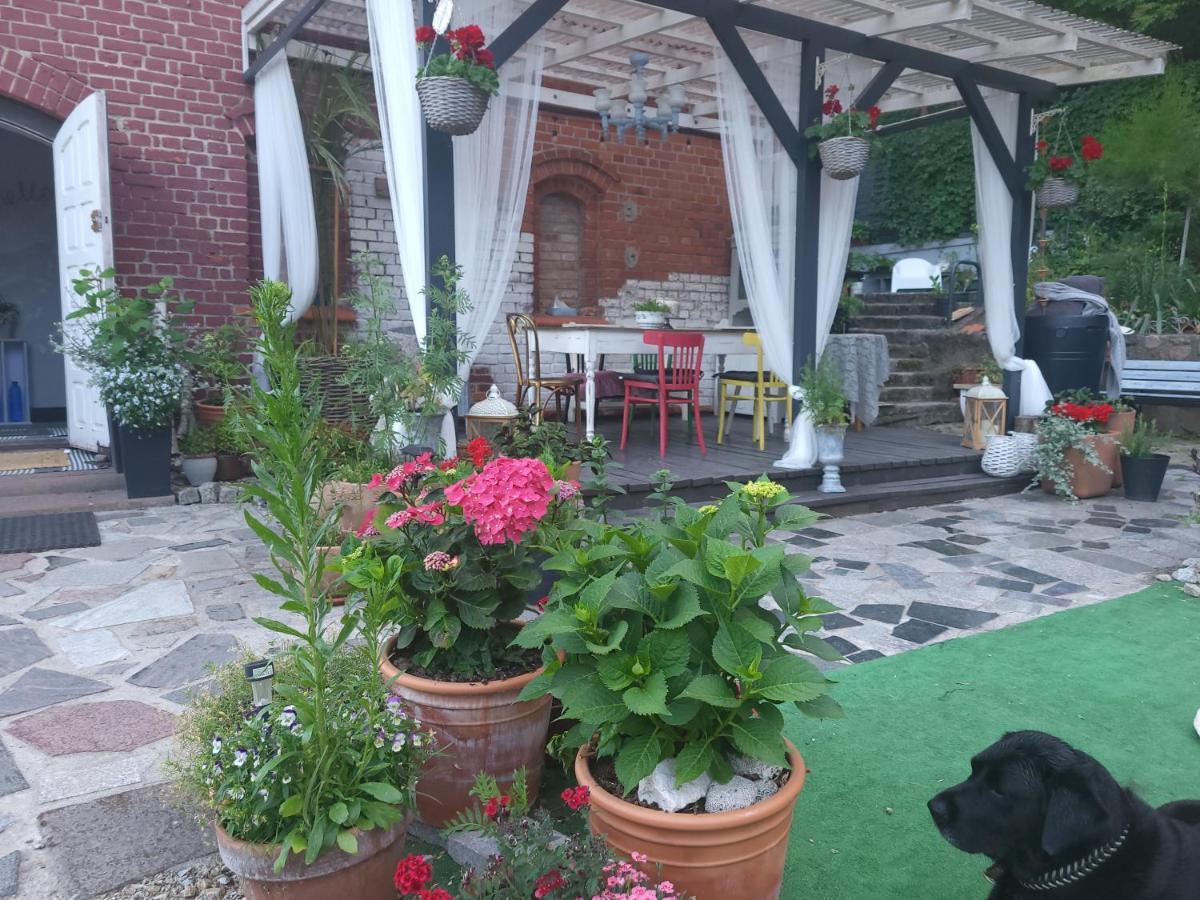 Krzywa Apartamenty Лидзбарк-Варминьский Экстерьер фото