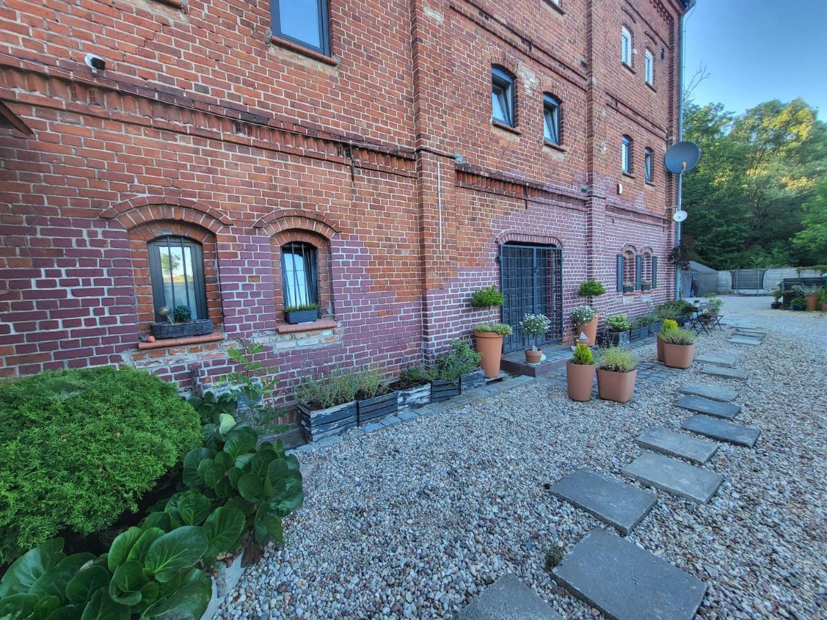 Krzywa Apartamenty Лидзбарк-Варминьский Экстерьер фото